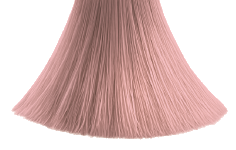 P.66 shade swatch